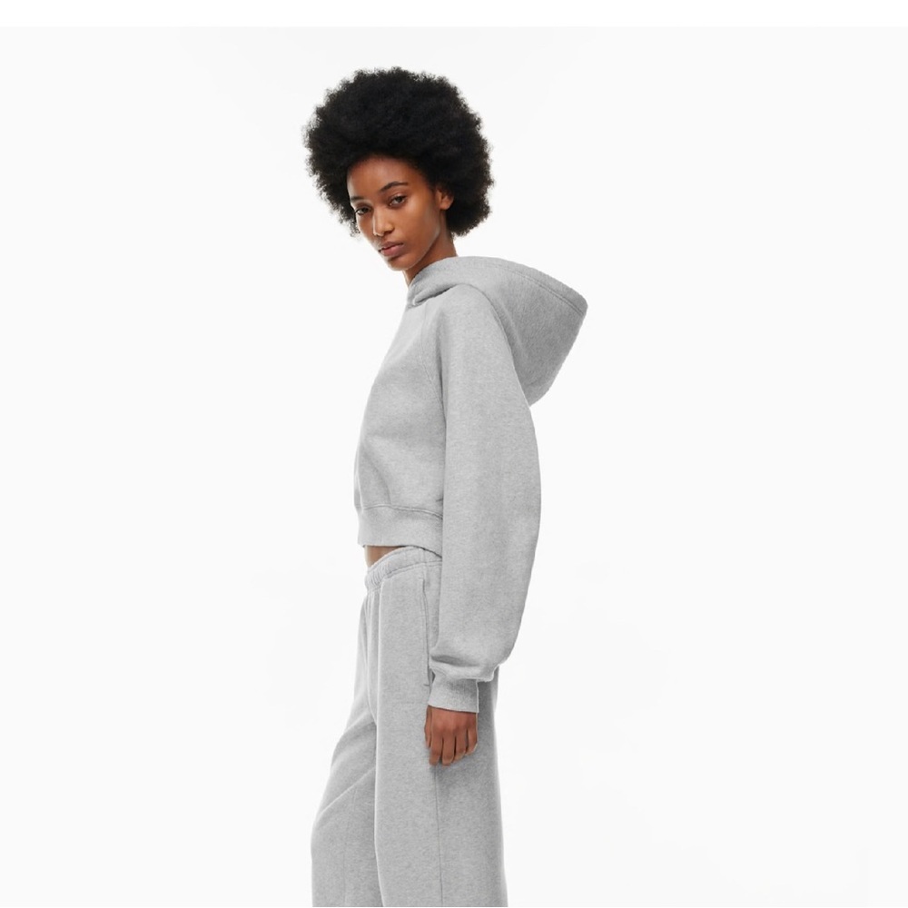 Aritzia Cozy Fleece Mega Raglan Cropped Hoodie - Picture 3 of 9